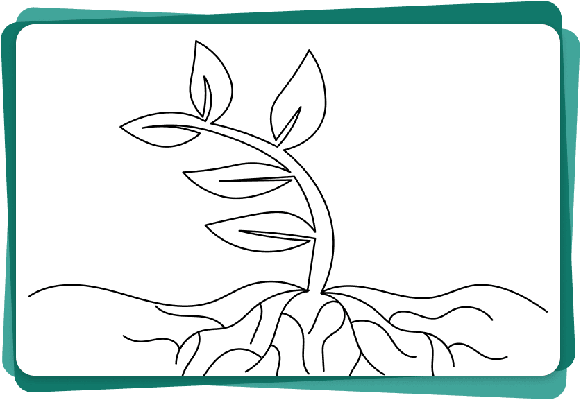 Belirtileri Değil, Kök Nedeni Dönüştürüyoruz